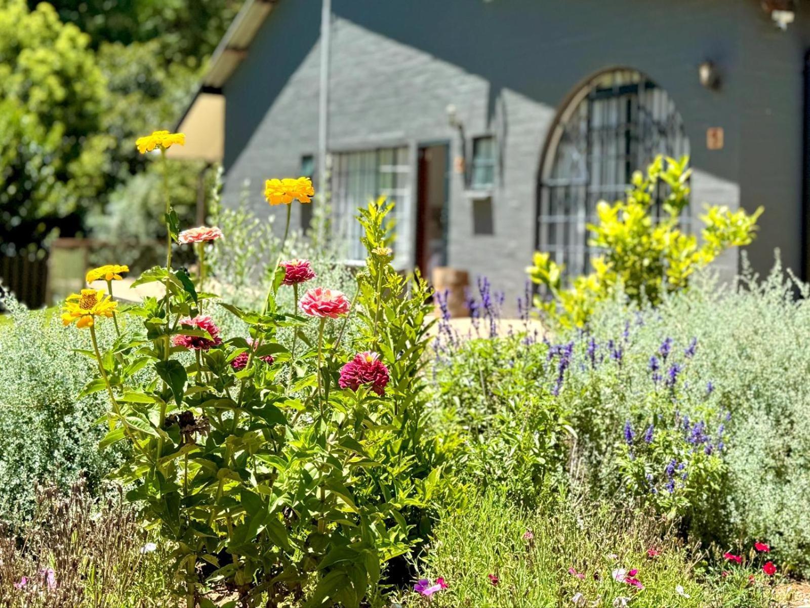 Fiddler'S Green Magoebaskloof Esterno foto